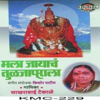 Tuzhya Chabinyala Nesayla Aanal Sakharabai Thekale Song Download Mp3