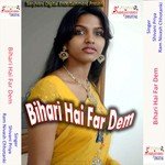 Bihari Hai Far Dem songs mp3