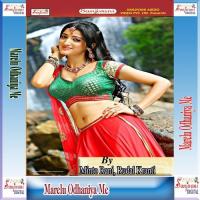 Marelu Odhaniya Me Lila Re Naresh Vyas Song Download Mp3