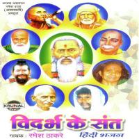 Anusaya Mata Pyari Paradsinge Wali Ramesh Thakare Song Download Mp3
