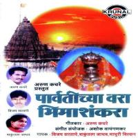 Parvatichya Vara Bhimashankara songs mp3