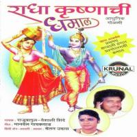 Radhe Tuzhya Angavari Udavato Pichakari Raju Bagul Song Download Mp3