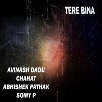 Tere Bina Abhishek Pathak,Chahat,Somy P,Avinash Dadu Song Download Mp3