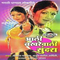 Ek Chumma Deg Mala Sarmili,Shrikant Narayan Song Download Mp3