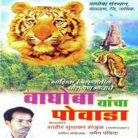 Vaghoba Yancha Povada 1 Shahir Sudhakar Shejul Song Download Mp3