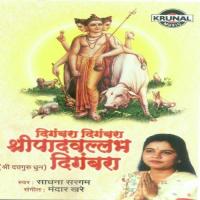 Sukhakarta Dhukhaharta (Aarti) Sadhana Sargam Song Download Mp3
