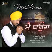 Main Baura Bhai Sharnjit Singh Ji Sultanpur Lodhi Wale Song Download Mp3