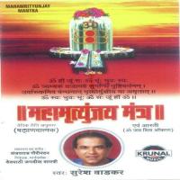 Shiv Shankar Sambho  Song Download Mp3