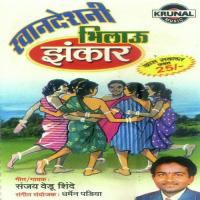 Khandeshani Bhilau Zankar songs mp3