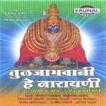 28 Tuljabhavani He Narayani songs mp3
