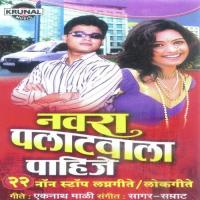 Navra Palatwala Pahije songs mp3