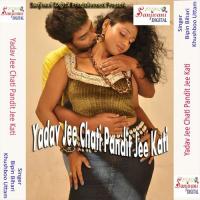 Koi Kuchho Na Bigari Bipin Bihari Song Download Mp3
