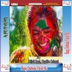 Rang Dalwala Choli Me songs mp3