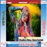 Holi Me Choliya Bhija Da songs mp3