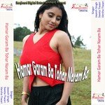 Kalua Tor Kaha Gail Biya Didi Jayesh Singh Song Download Mp3