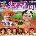 75 Non Stop Dhamal Lagngeet Shetkari Navra Hawa D.J. songs mp3