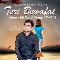 Teri Bewafai, Vol. 1 songs mp3