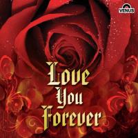 I Love You For What You Are Alisha Chinai,KK Song Download Mp3