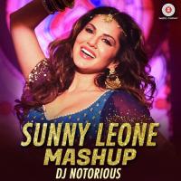 Sunny Leone Mashup Various Artists Song Download Mp3