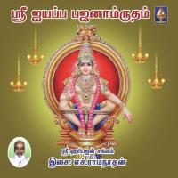 Ayyappa Bhajanamrutham songs mp3