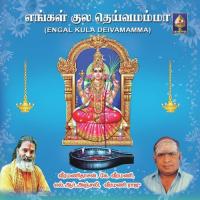 Sonda Manai Srishailam L.R. Anjali Song Download Mp3