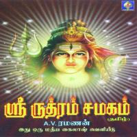Sri Rudram - Chamakam songs mp3