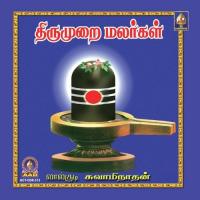 Thirumurai Malargal songs mp3