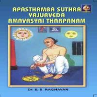 Aapastamba Sootra Yajurveda Amaavaasya Tarpanam - Smaartaa songs mp3