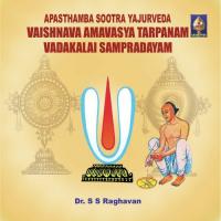 Aapastamba Sootra Yajurveda Vaishnava Amaavaasya Tarpanam - Vadakalai songs mp3