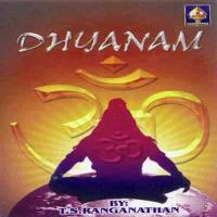 Jaya Jaya Shankara Hara Hara Shankara (Dhyaanam) T.S. Ranganathan Song Download Mp3
