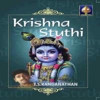 Krishna Stuti songs mp3
