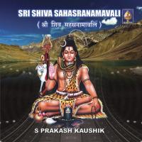 Shiva Sahasranamavali songs mp3