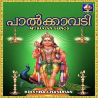 Aiyaa Pazhanimalai Velaa Krishna Chandran Song Download Mp3