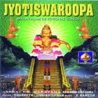 Jyoti Swarpoopaa songs mp3