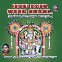 Krishna Krishnaa Mukundaa Janaardanaa songs mp3