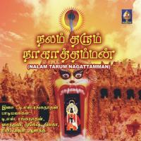 Kalaivaani Ammaa Pushpa Anand Song Download Mp3