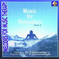 Melodies For Music Therapy - Veena - Music For Relaxation songs mp3