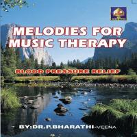 Melodies For Music Therapy - Veena - Blood Pressure Relife songs mp3