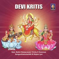 Bhuvaneshwari Padukam (Raga - Ranjani) Smt. Nalini Ramprasad,Trichy S. Ganesan Song Download Mp3