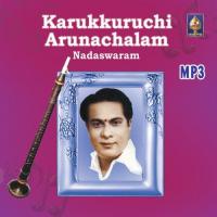 Shivakameshwarim (Raga - Kalyani  Adi) Karukurichi P. Arunachalam Song Download Mp3