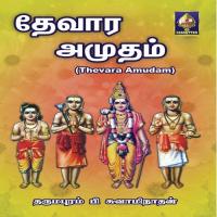 Thevara Amudam - Song On 34 Shrines songs mp3