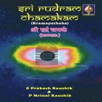 Sri Rudram Chamakam - Kramapatha songs mp3