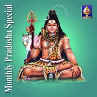 Shiva Ashtottara Shata Namavali V. Raghavendra Sharma Song Download Mp3