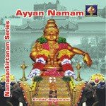 Sampradaya Bhajan Series - Ayyan Namam songs mp3