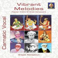 Ninne Bhajana - Raga - NattaiTala - Adi Sreyas Narayanaun Song Download Mp3