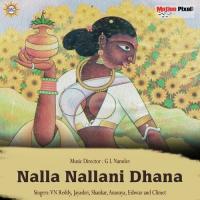 Nalla Nalla Ni Dhana VN Reddy Song Download Mp3