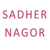 Sadher Nagor songs mp3