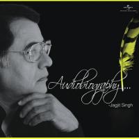 Tera Chehra Hai Aaeene Jaisa (Album Version) Jagjit Singh Song Download Mp3