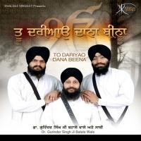 Tu Dariyao Dana Beena songs mp3