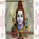 Tohar Sewakwa A Bhole Baba Maheswar Song Download Mp3